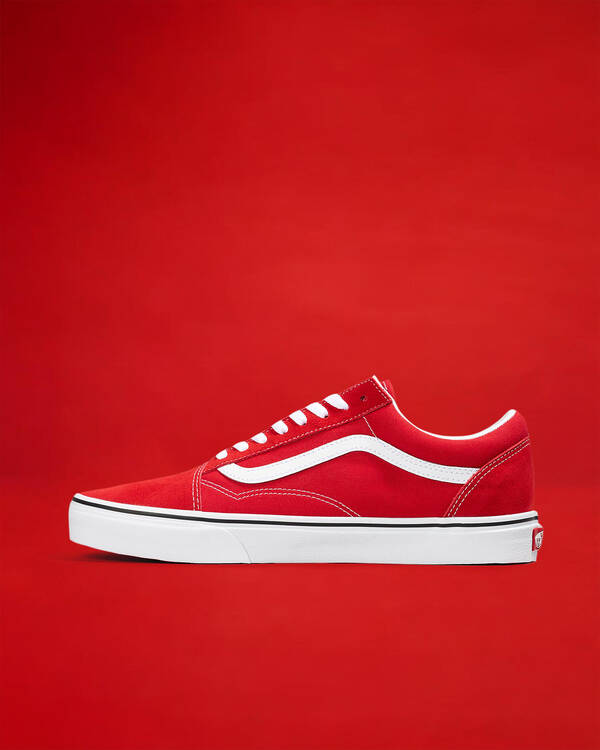 Vans Old Skool Shoes for Mens